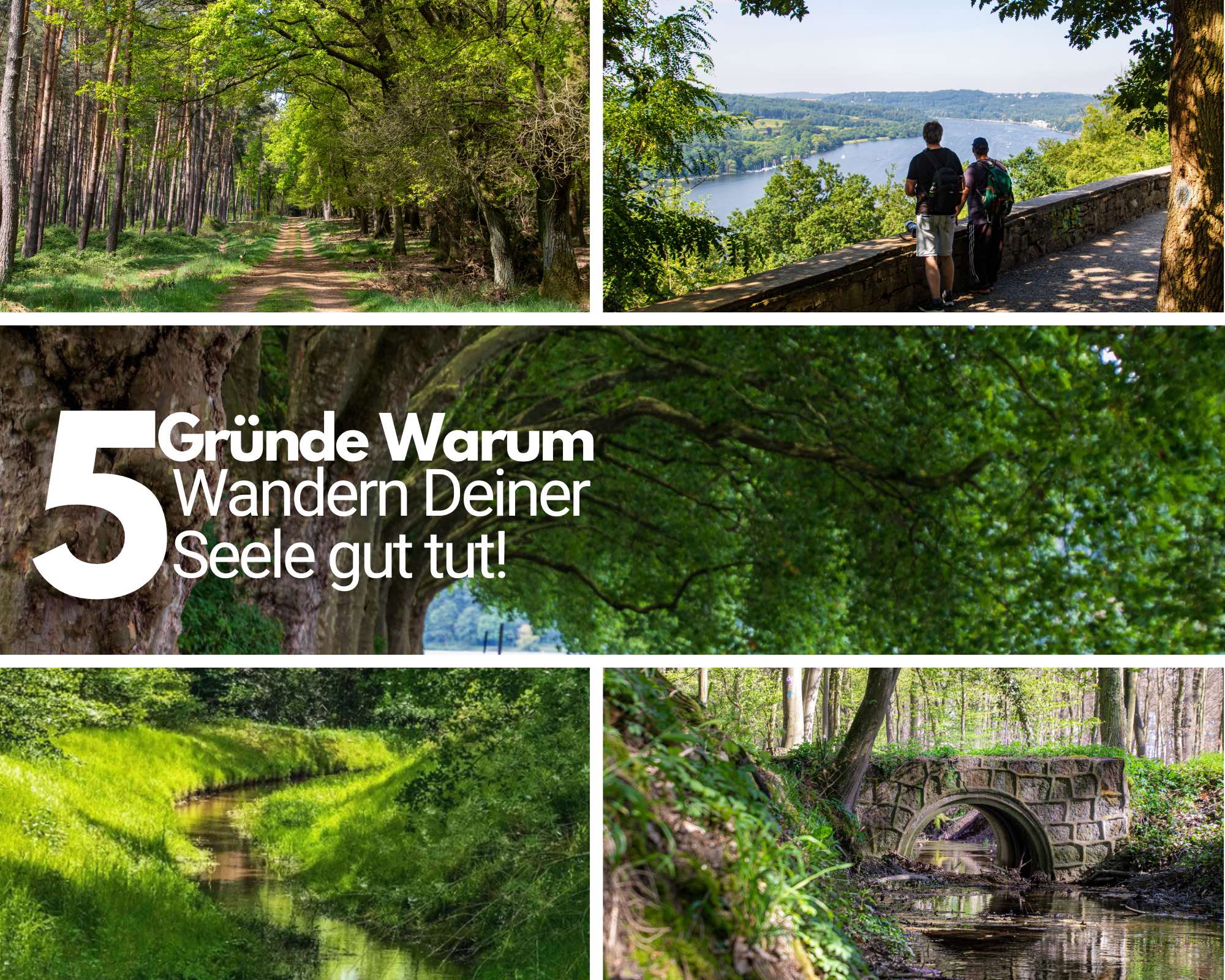 5 Gründe, warum Wandern für die Seele gut ist 